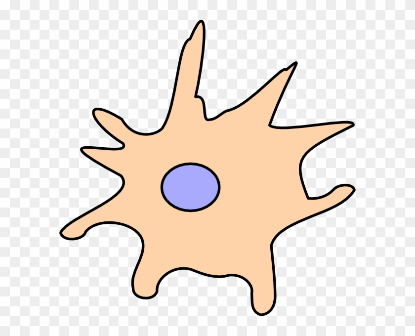 Cell Clip Art #267702