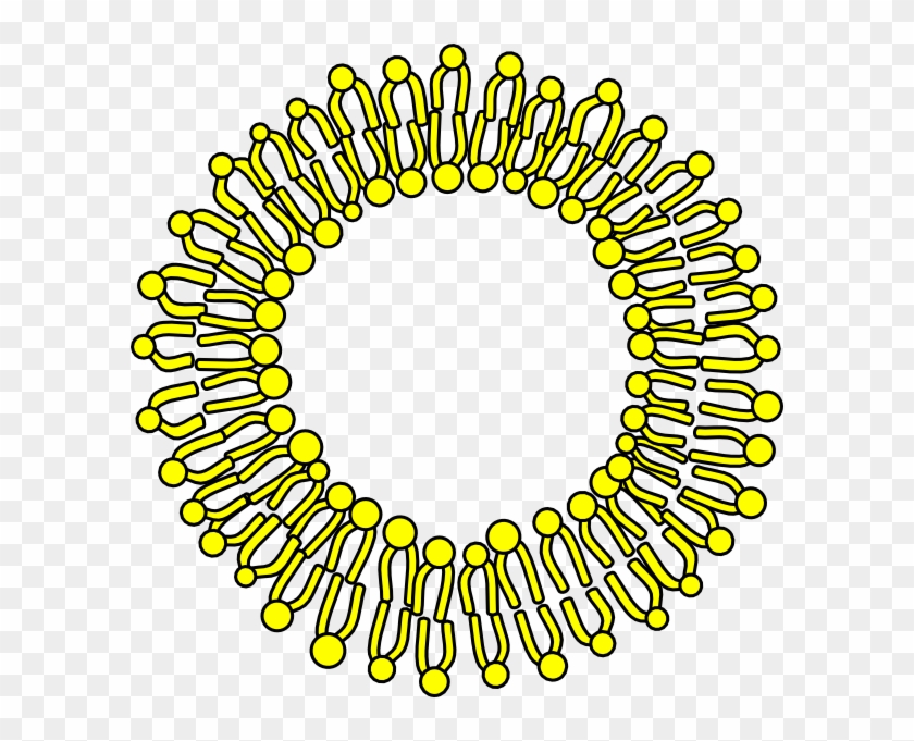 Membrane Clipart #267703