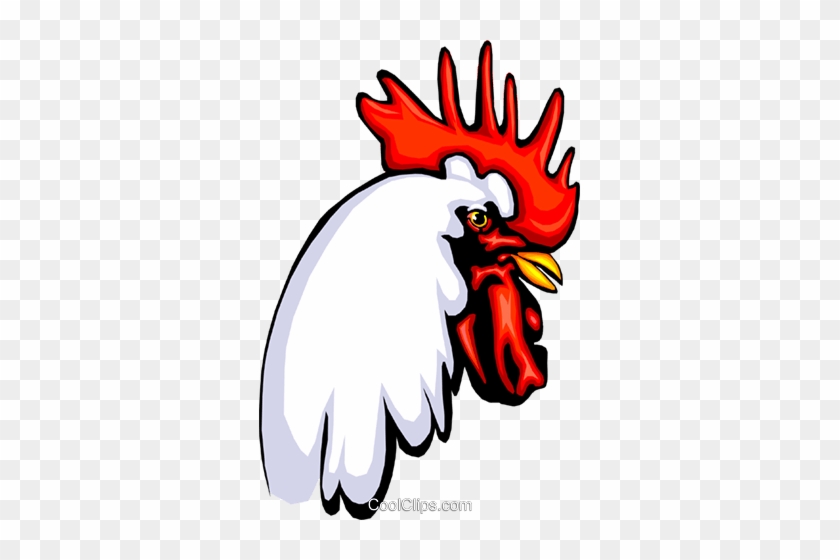 Rooster - Rooster #1760123