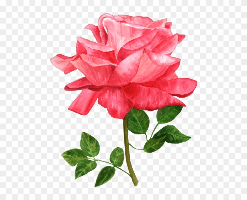 Watercolor Flowers Png Transparent Clipart , Png Download - Watercolor Flowers Png Transparent Clipart , Png Download #1760410