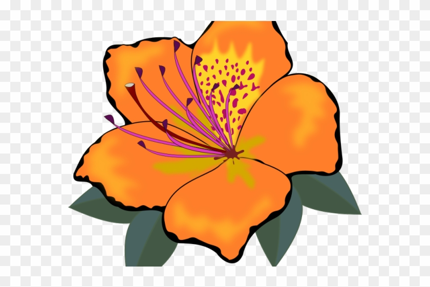 Orange Flower Clipart One Flower - Orange Flower Clipart One Flower #1760424