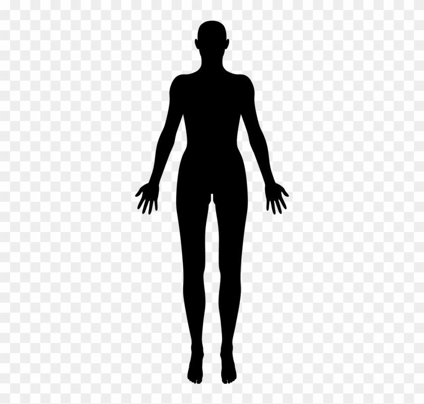 Woman Female Figure Human People Person - Female Human Body Silhouette #1761977