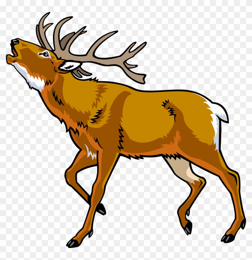 Elk Red Deer Clip Art Cartoon Wild - Red Deer Vector #1762416