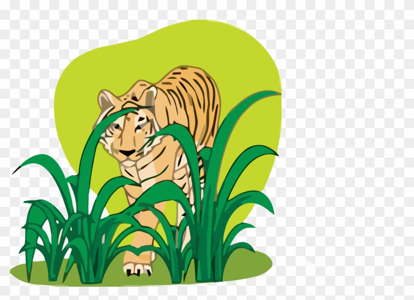 Tiger Clipart Png - Cartoon #1762583