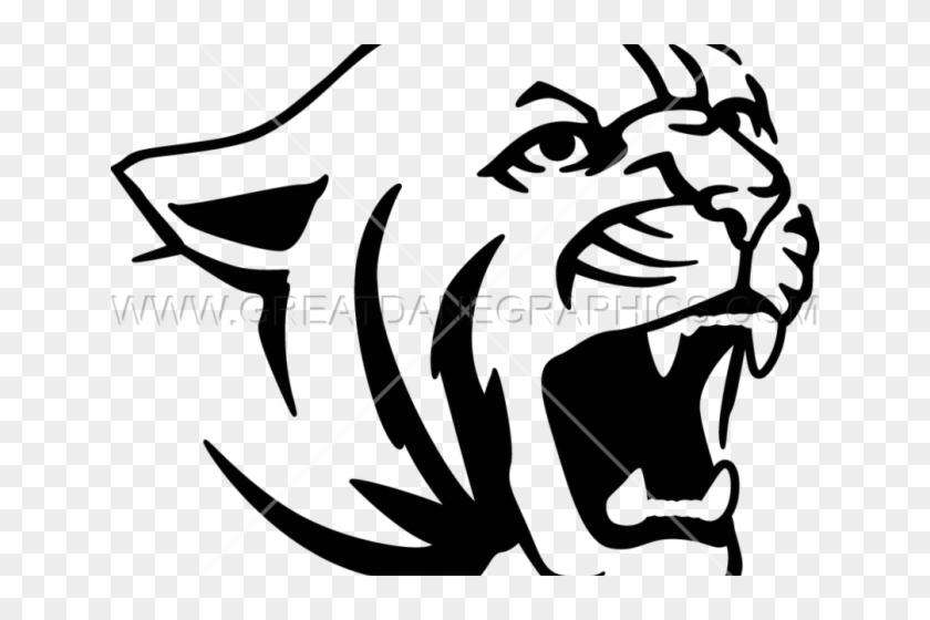 Original - Drawing Cougar #1762605