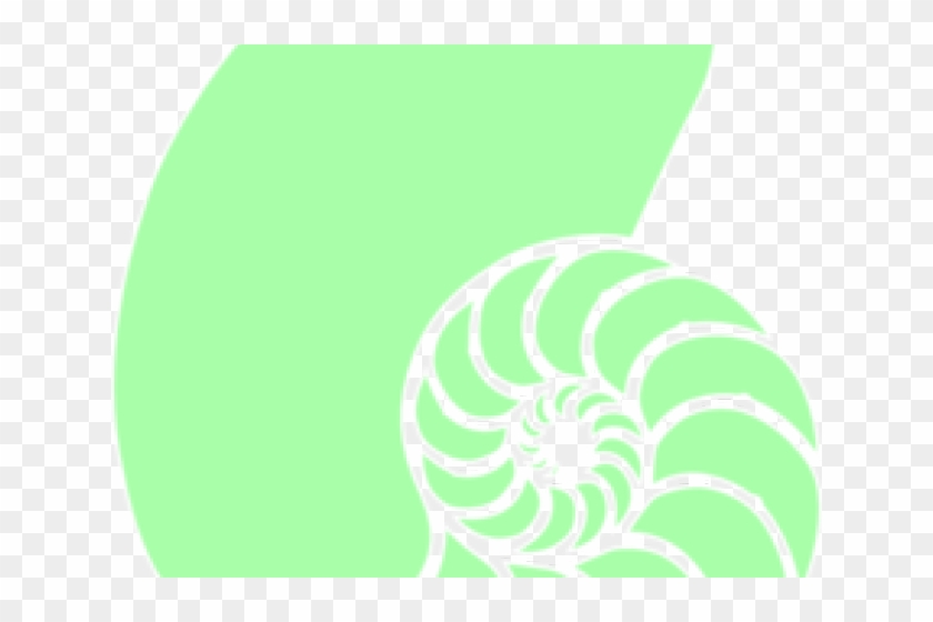 Shell Clipart Green - Circle #1762724