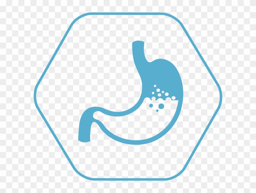 Let's "break It Down" - Digestion #1763851