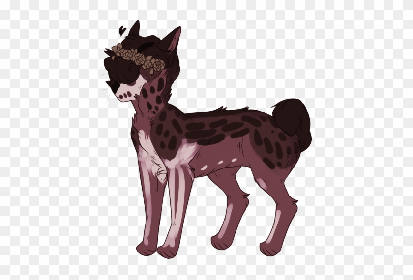 Picture - Chinese Crested Dog #1764909