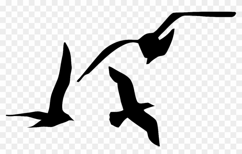 Gîtes De La Baie De Somme - Seabird #1765103
