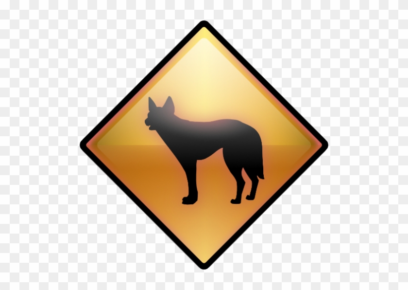 Dog #1765228