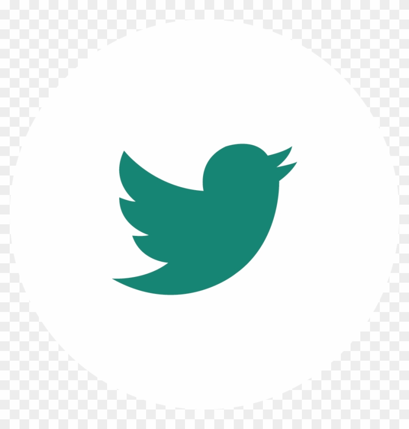 Siguenos En Facebook Siguenos En Instagram Siguenos - Twitter #1765730