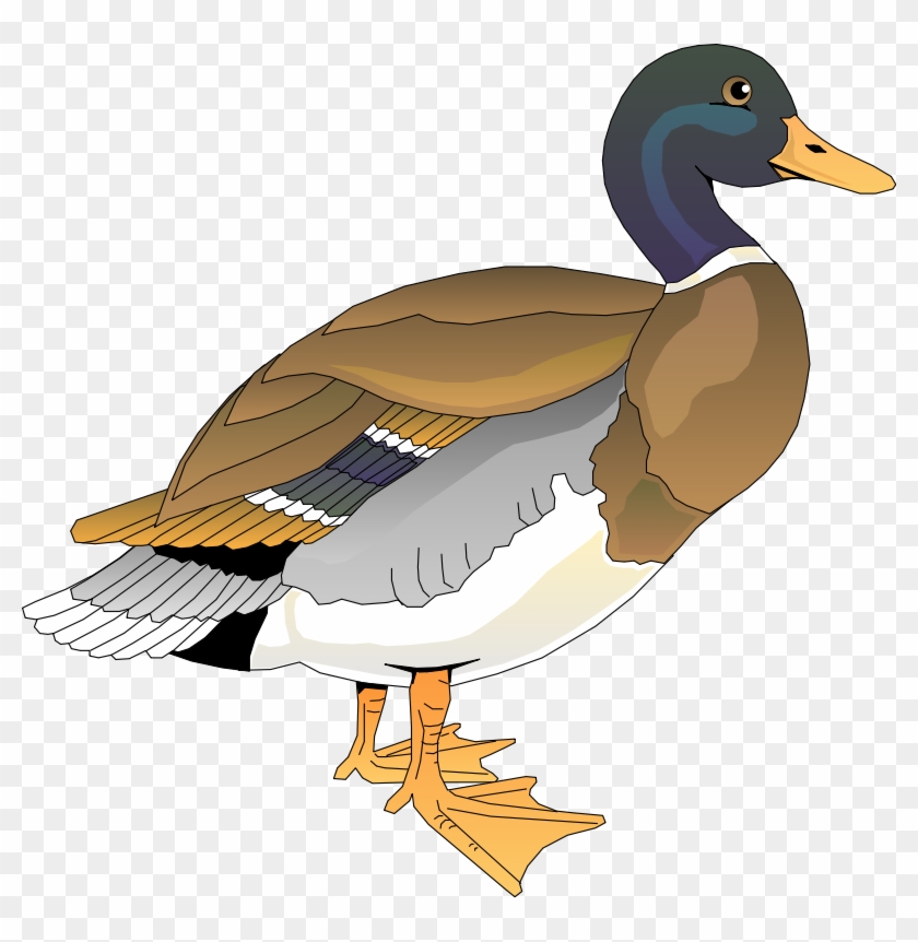 Walking Duck 2 Clip Art - Free Clip Art Duck #268230