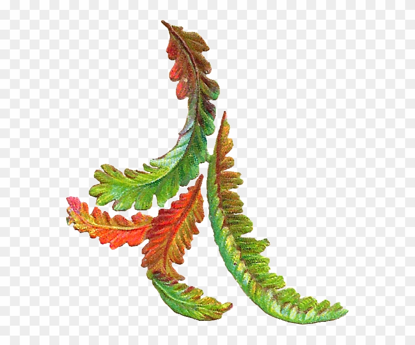 Autumn Leaves Clipart - Leaf Antique #268755