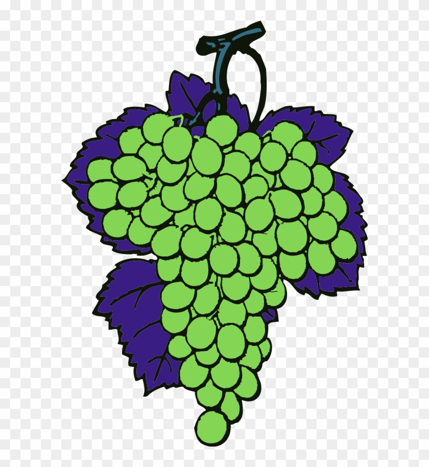 Grapes Vine Fruit - طريقة رسم عنقود عنب #270110