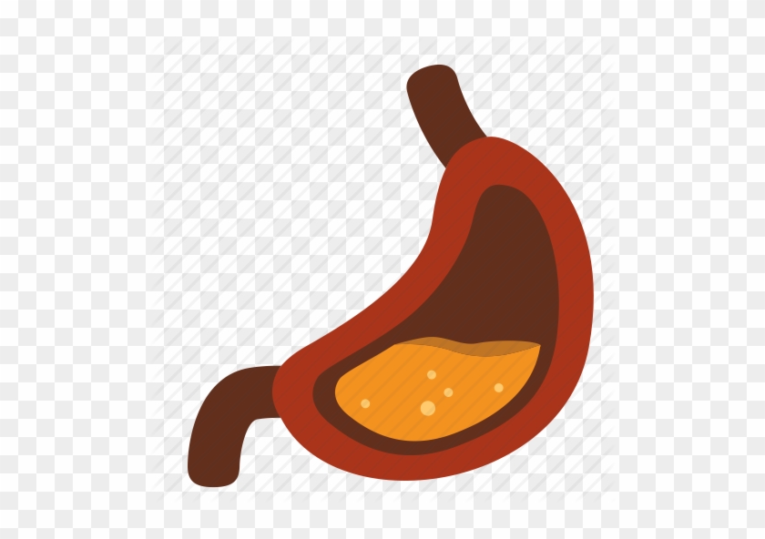 Gastric Juices In Stomach #270123