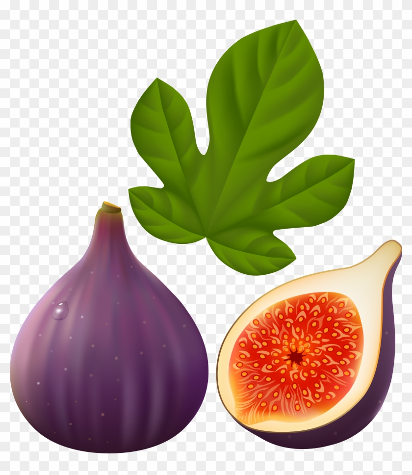 Figs Fruit On White Background [преобразованный] - Fig Clipart #270223