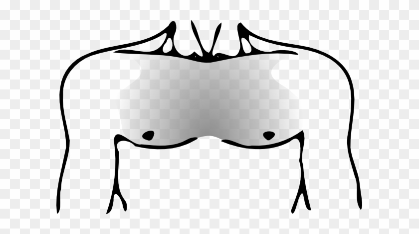 Human Chest Png #44887