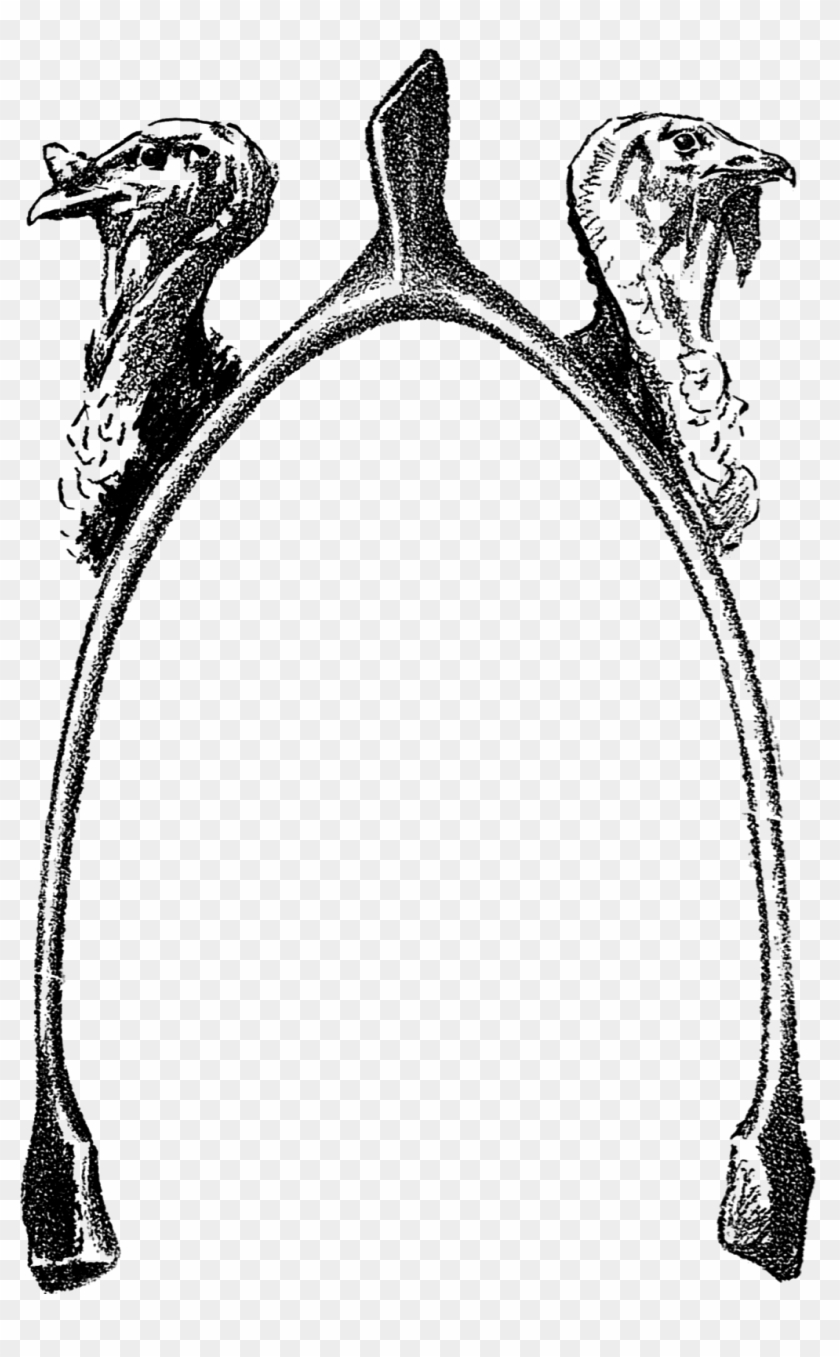 Thanksgiving, Two Turkeys And A Wishbone - Turkey #47522