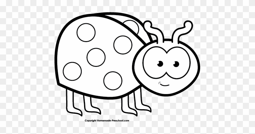 Drawn Ladybug Clip Art - Lady Bug Black And White #50293