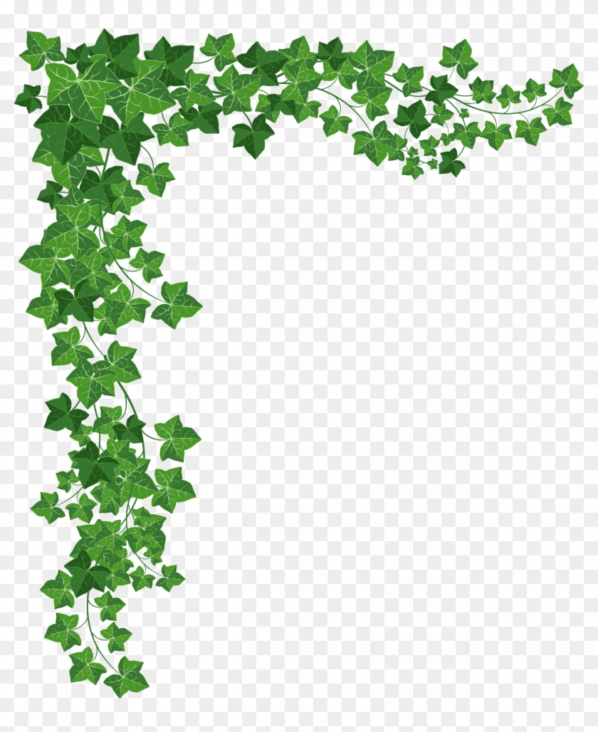 Vines Vector #51210