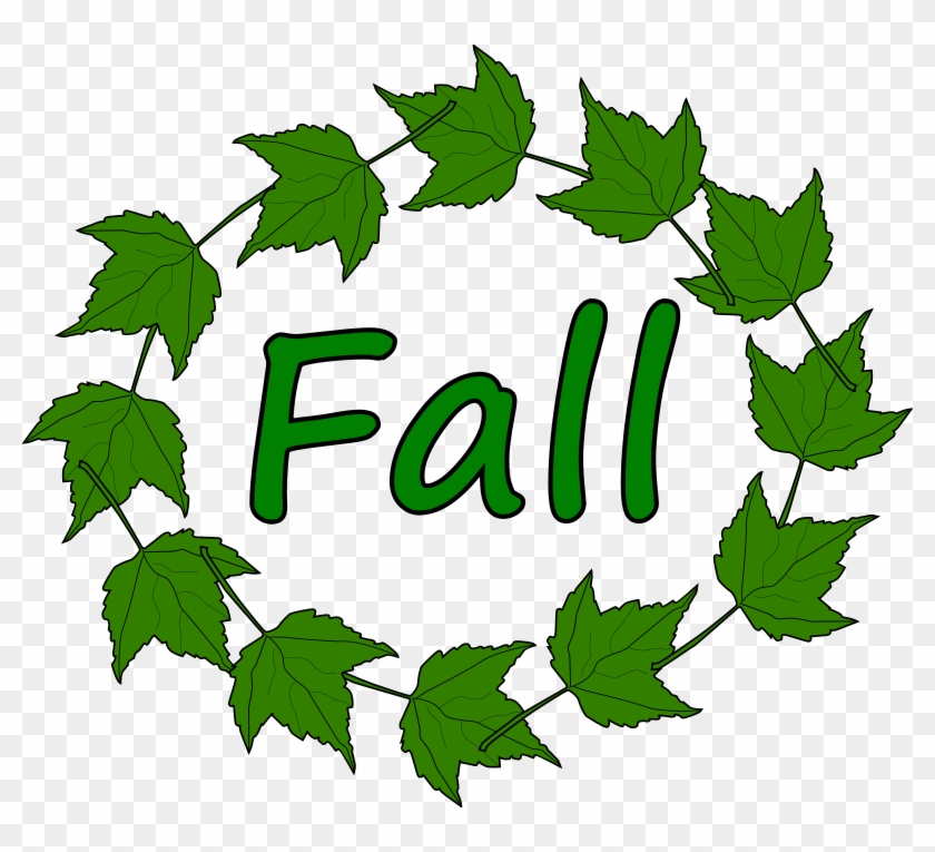 Free Fall2010-16 - Autumn Season #51259