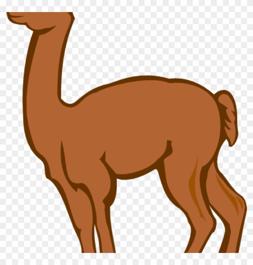 Llama Clipart Llama Clip Art Clipart Panda Free Clipart - Alpaca Animada Png #52315