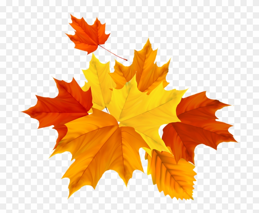 Clip Artthanksgivingfall Seasonthanksgiving - Clip Art #271258