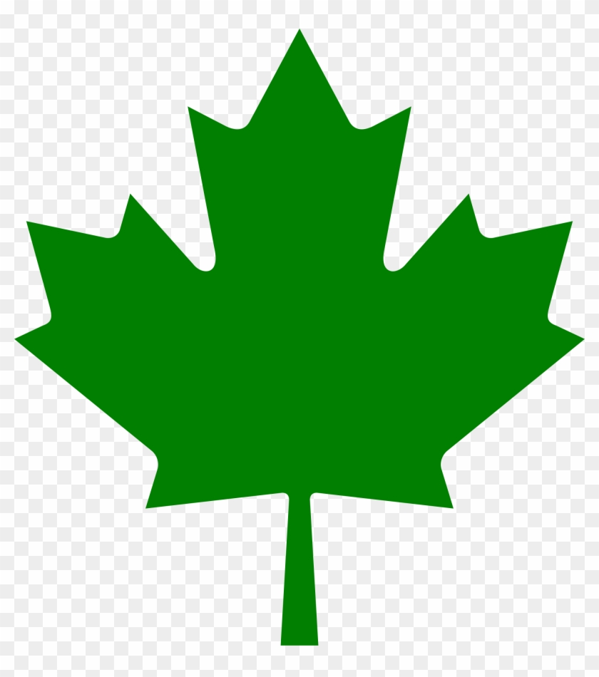 Willpower Images Of Canadian Maple Leaf File Green - Canadian Maple Leaf Green #271394