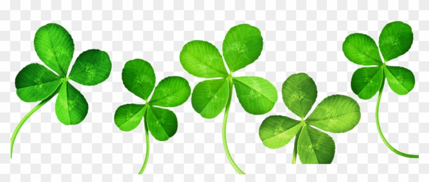 Four-leaf Clover Clip Art - 4 Leaf Clover Banner #271459