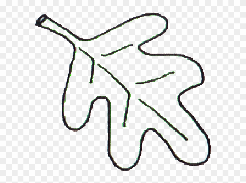 Clip Art - Oak Leaf To Color #271496