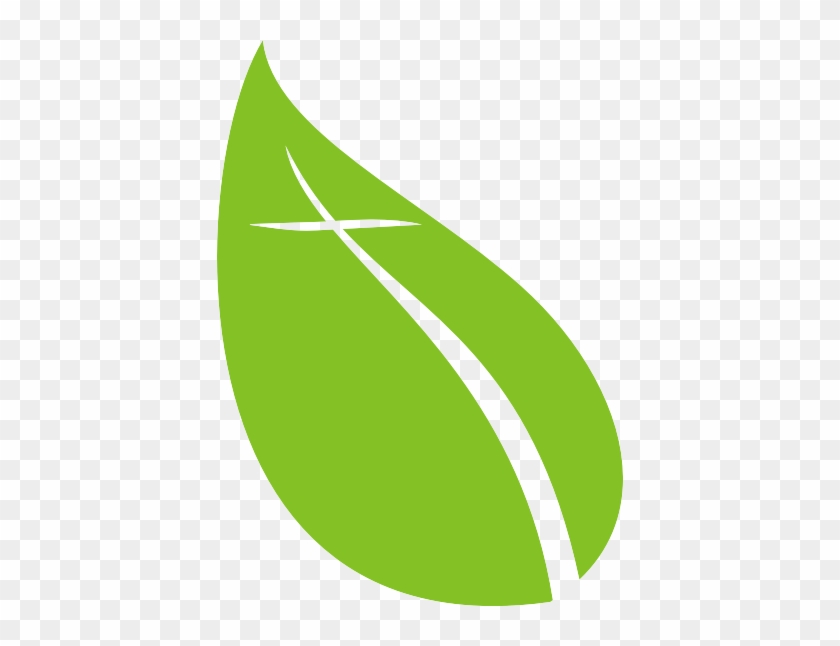 Http - //www - Ogchog - Org/wordpress/wp Grove Leaf - Http - //www - Ogchog - Org/wordpress/wp Grove Leaf #271604