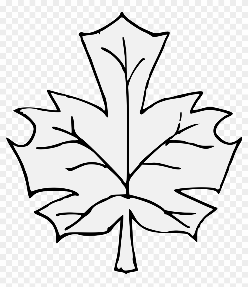 Maple Leaf - Art #271641