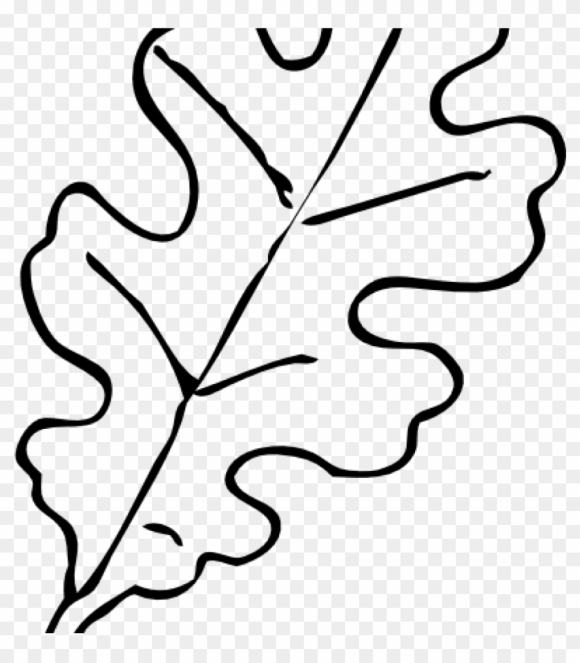 Leaf Clipart Black And White Fall Leaf Template Oak - Autumn Leaves Clip Art Black And White #271730