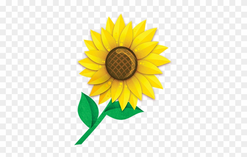 Sunflower - Sunflower #272031