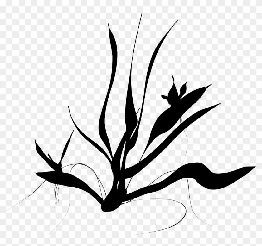 Java Ferns - Java Für Einsteiger, 1 #272140