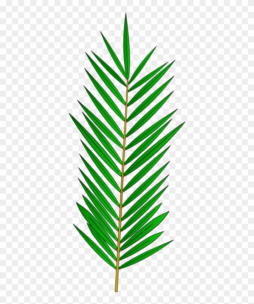 Palm Tree Leaf Template - Palm Tree Leaf Template #272145