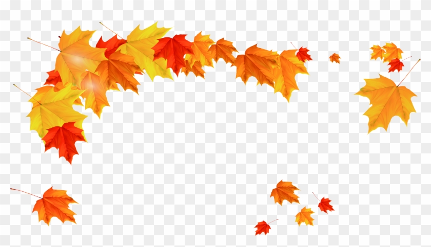 Maple Leaf Autumn - Yellow Leaves Border Png #272190
