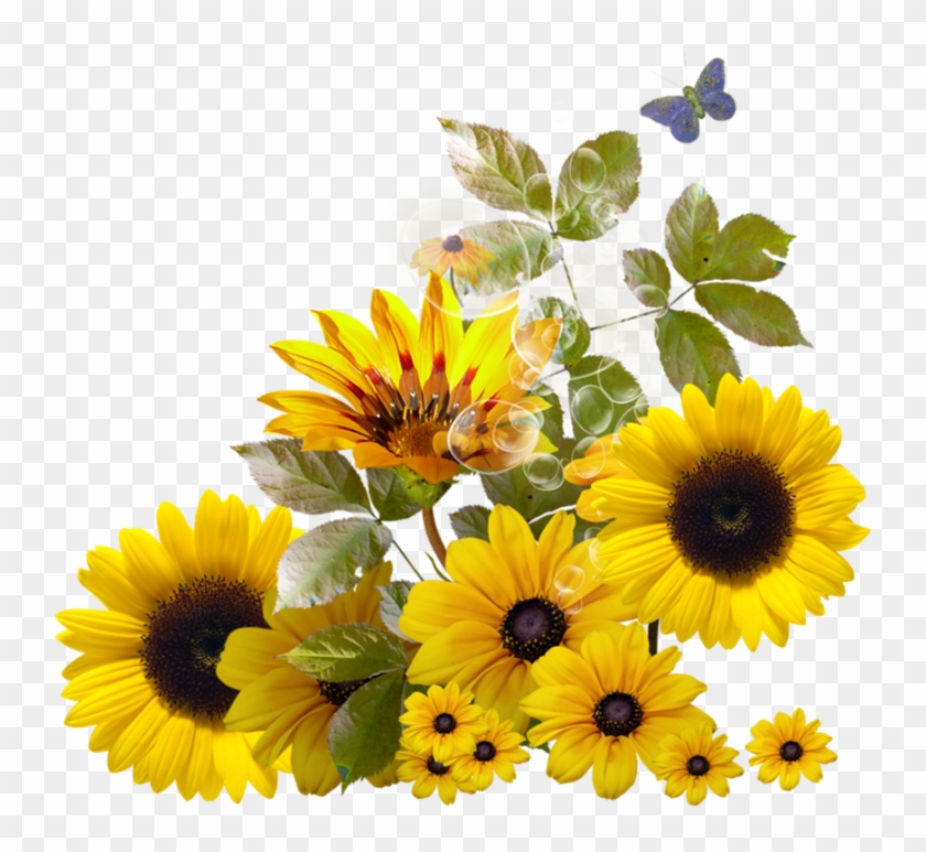 Sunflower Corner Border Clipart Download - Sunflower #272420