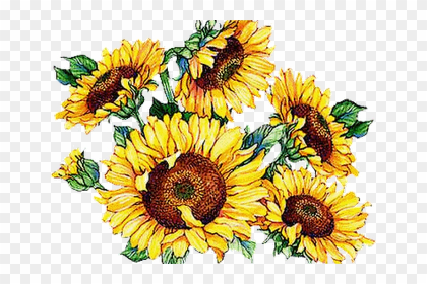 Vintage Sunflower Cliparts - Have A Nice Weekend #272423