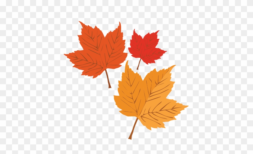 Free - Free Svg Cut Files Leaves #272872