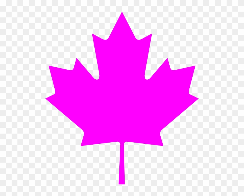 Leaf On The Canadian Flag #272925