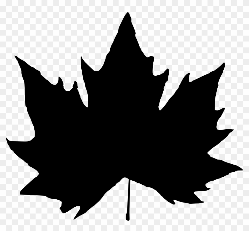 15 Leaf Silhouette - Leaf Silhouette Png #272930