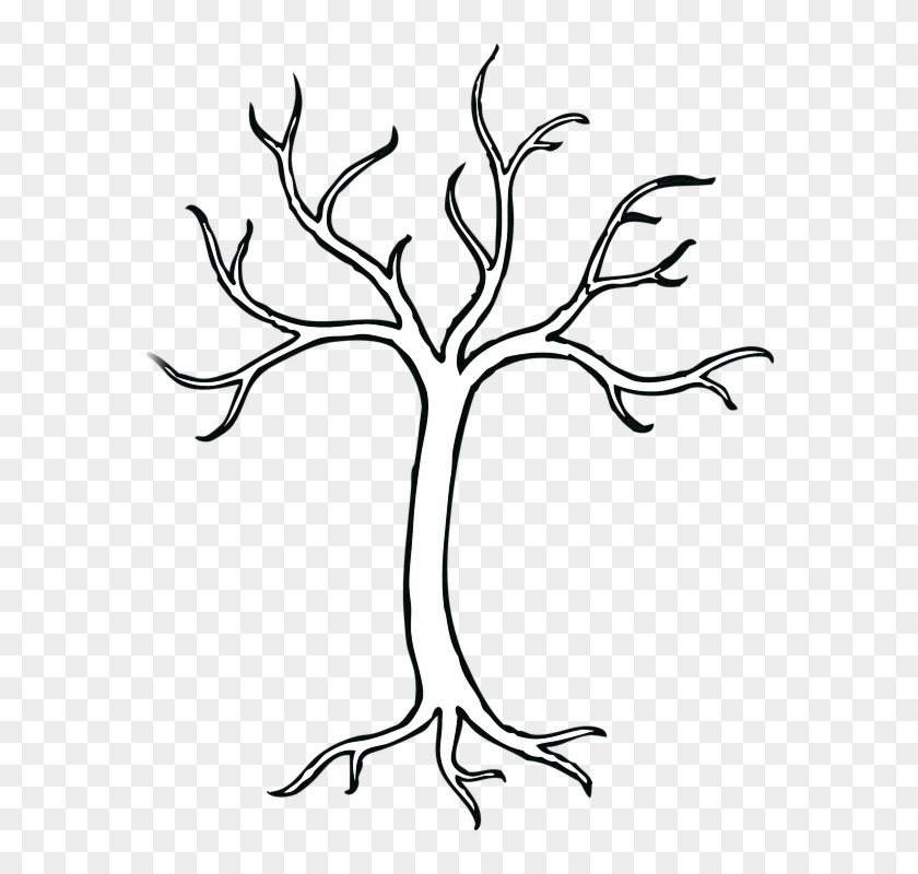 Coloring Pages Of Trees Without Leaves Tree Without - Bare Tree Clip Art #273213