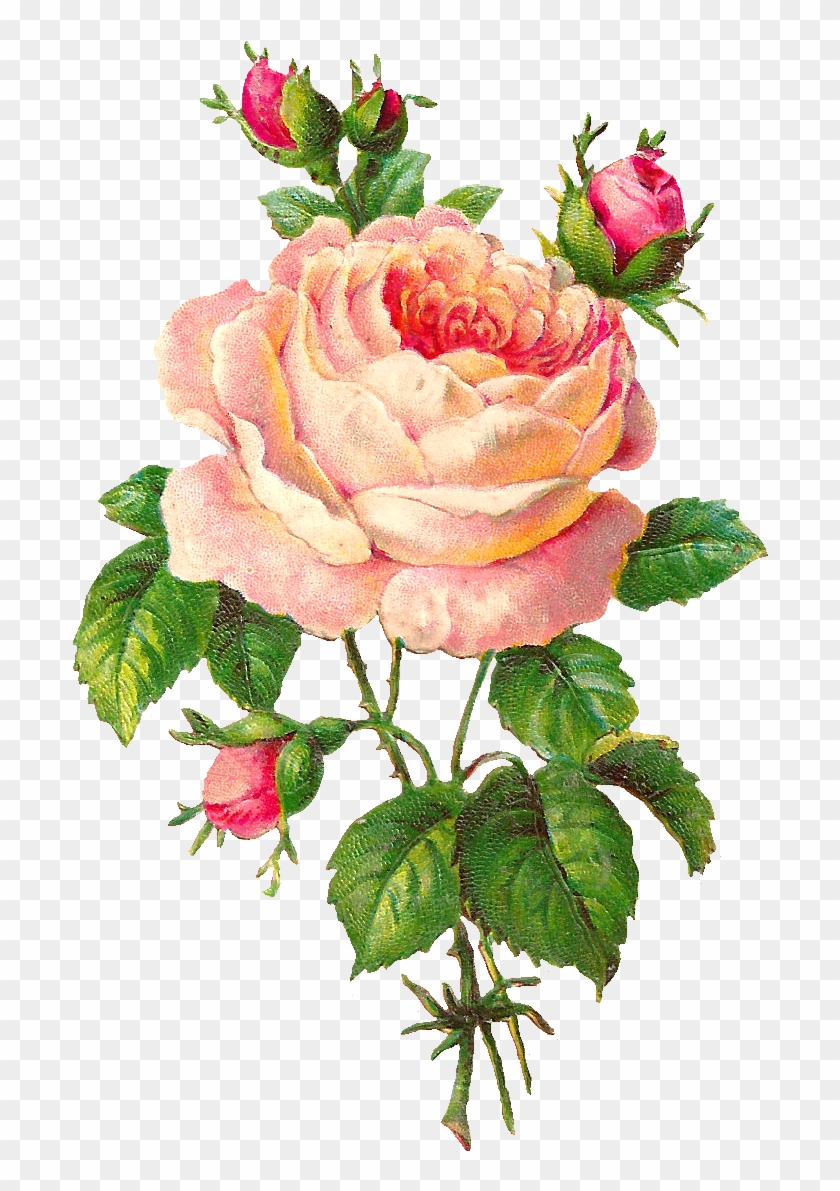 Pink Rose Clip Art - R3079 Vintage Pink Rose Universal Innove 12000mah Portable #273496
