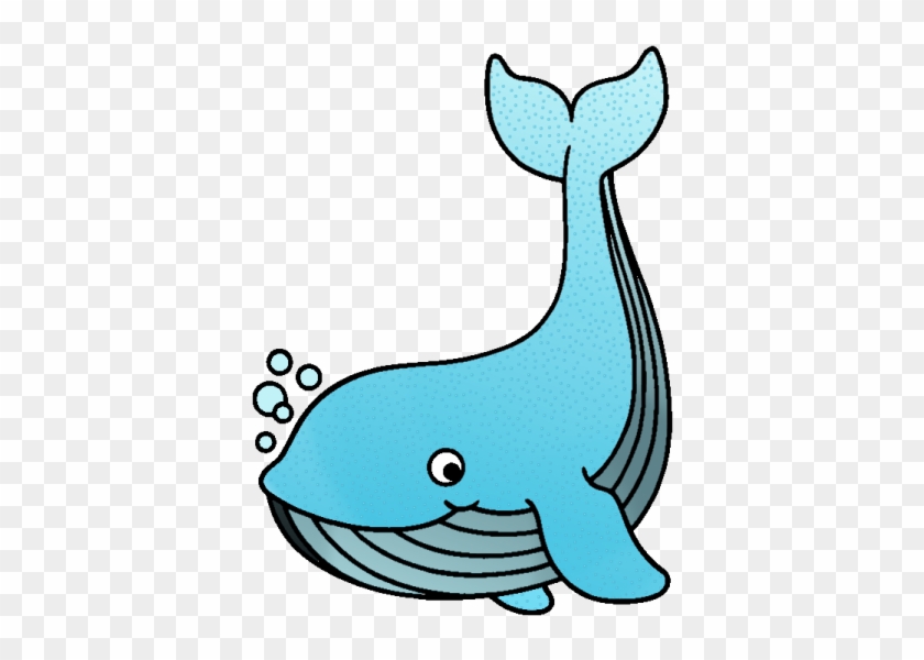 An Error Occurred - Ballena Azul Para Colorear #273740