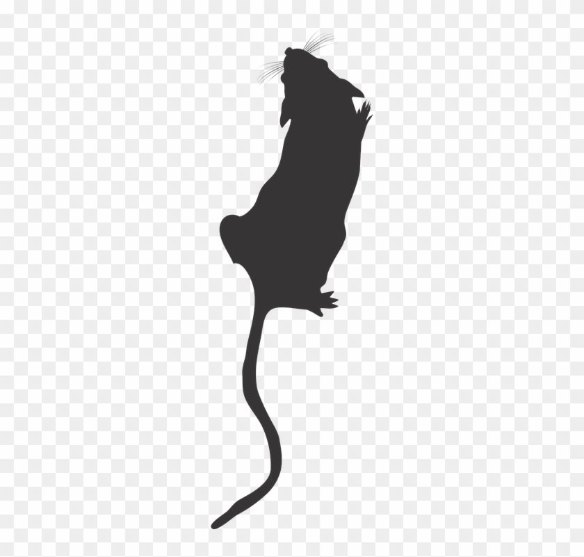 Mice On The Rise Â€“ The Journal Rewired - Mouse Silhouette Png #273744