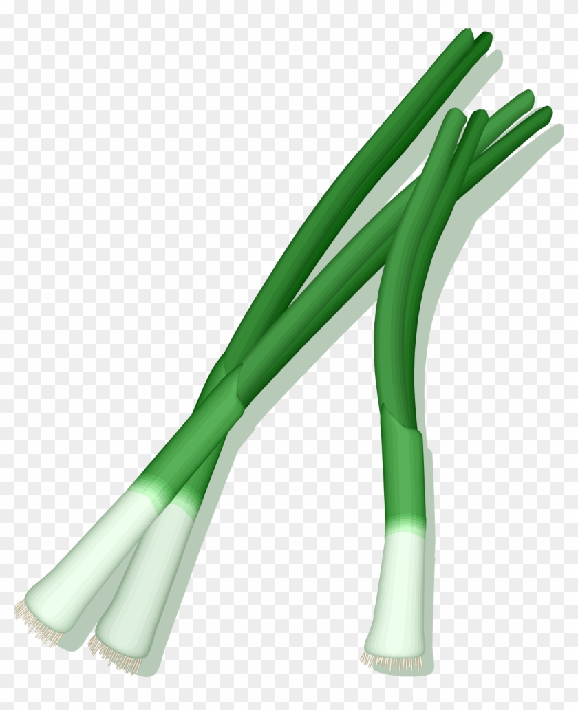 Cowboy Cactus Cliparts 24, - Green Onions Clipart #274150