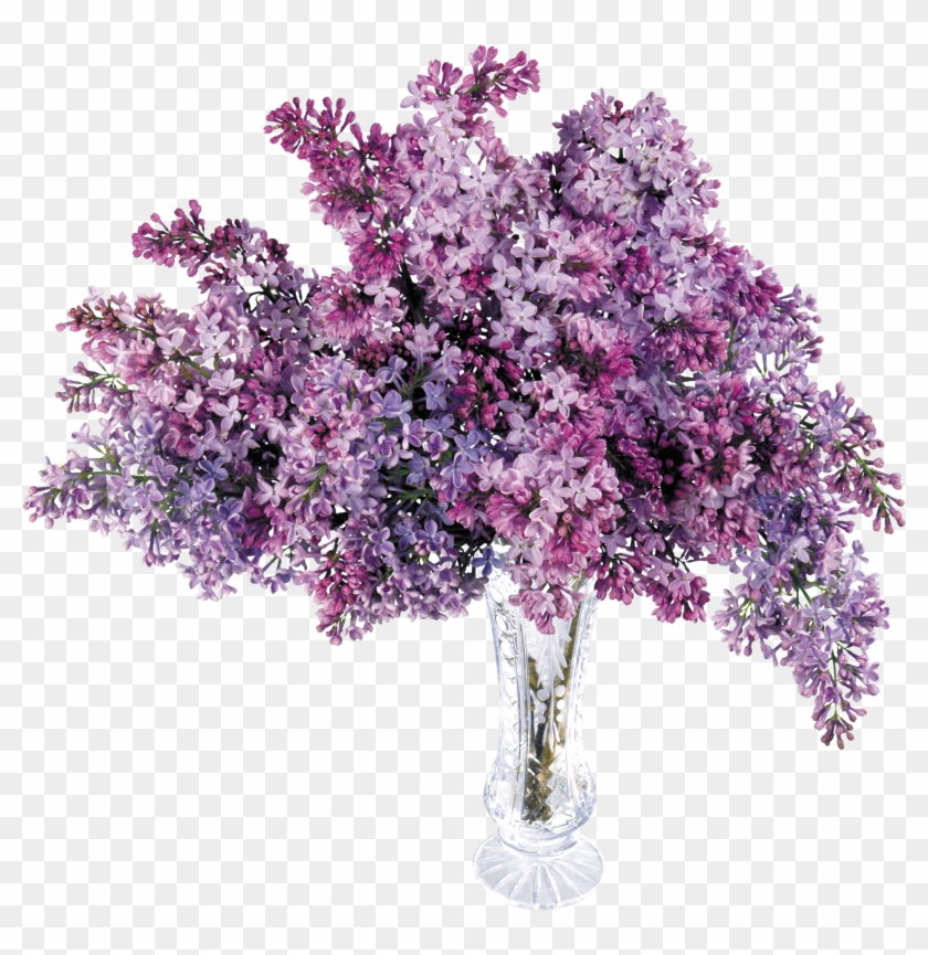 Lilac Flower Clip Art - Lilac Flower Clip Art #275224