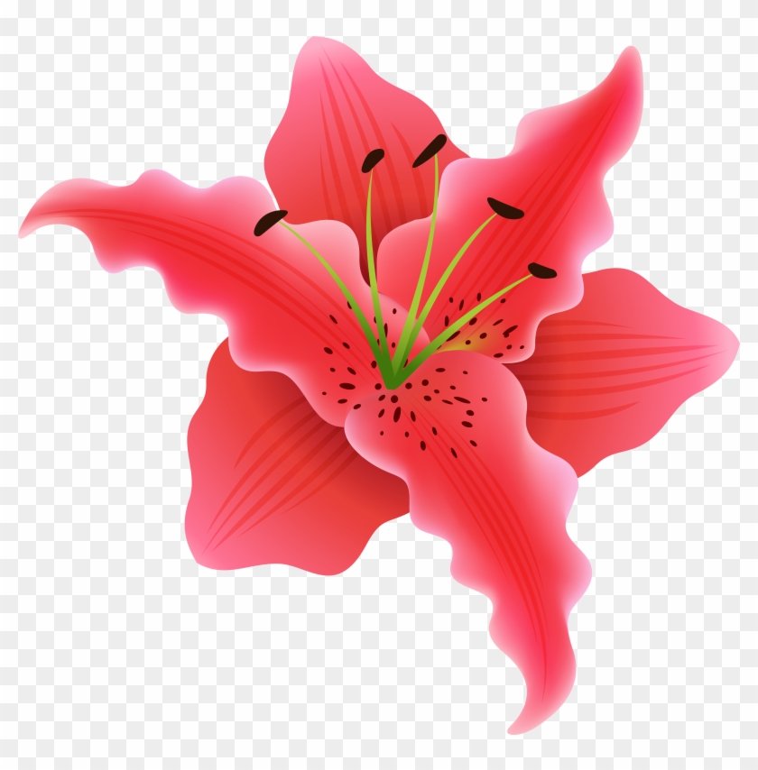   Flower #275243