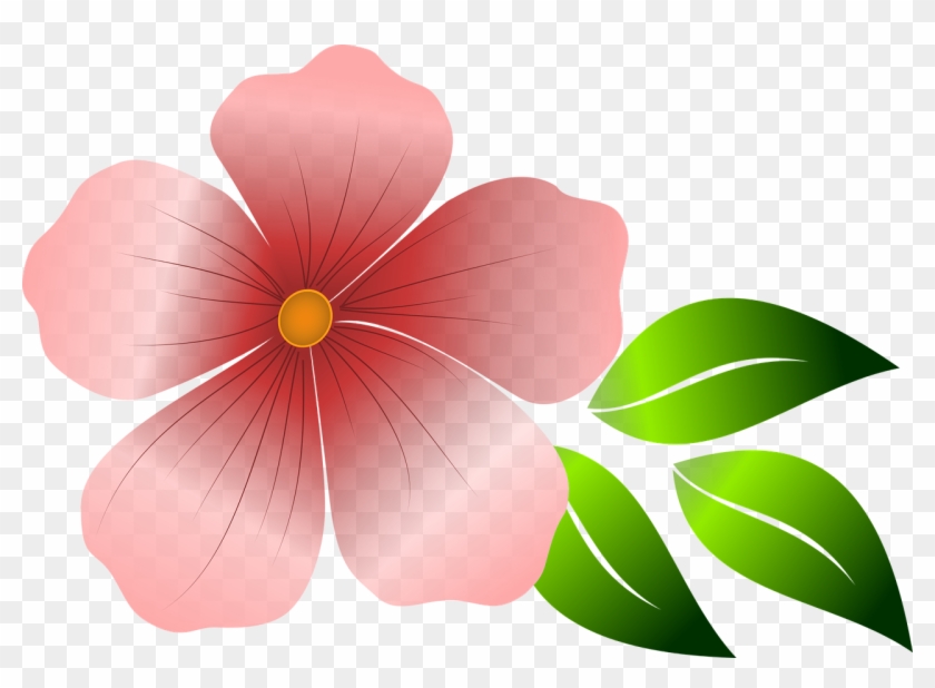 Flower, Pink Flower, Spring, Summer, Garden, Flowers - Flower Graphic #275263